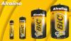 Portada de C/12 BLISTER 4 PILAS BIC