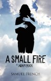 Portada de SMALL FIRE, A