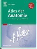 Portada de ATLAS DER ANATOMIE: DEUTSCHE ÜBERSETZUNG VON ROLAND MÜHLBAUER (NETTER BASIC SCIENCE)