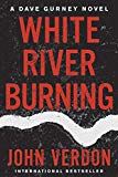 Portada de WHITE RIVER BURNING: A DAVE GURNEY NOVEL: BOOK 6