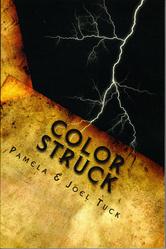 Portada de COLOR STRUCK