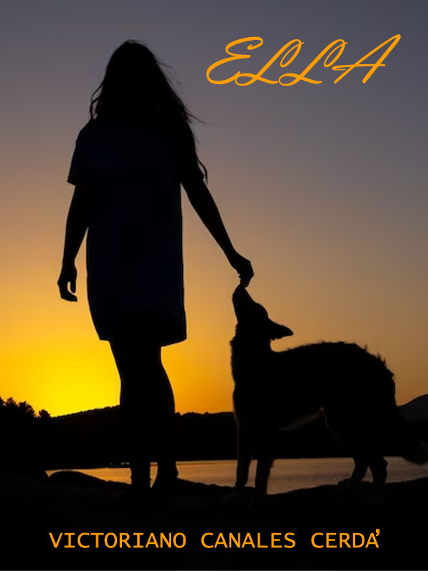 Portada del libro