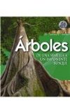 Portada de ARBOLES / TREE: DE UNA SEMILLA UN IMPONENTE BOSQUE / FROM SEED TO MIGHTY FOREST (INFINITY)