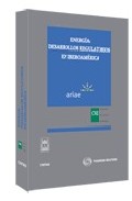 Portada de ENERGIA: DESARROLLOS REGULADORES EN IBEROAMERICA