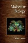 Portada de MOLECULAR BIOLOGY