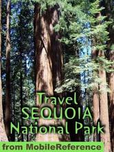 Portada de TRAVEL SEQUOIA NATIONAL PARK: TRAVEL GUIDE AND MAPS (MOBI TRAVEL)