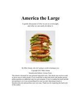 Portada de AMERICA THE LARGE