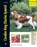 Portada de CAVALIER KING CHARLES SPANIEL (EXCELLENCE - RAZAS DE HOY)