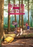Portada de MYSTERY OF THE FALLEN TREASURE (BOXCAR CHILDREN MYSTERIES)