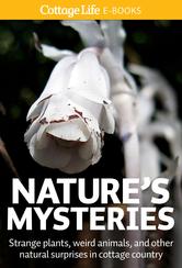 Portada de NATURE'S MYSTERIES