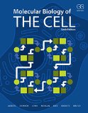 Portada de MOLECULAR BIOLOGY OF THE CELL