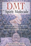 Portada de DMT: THE SPIRIT MOLECULE: A DOCTOR'S REVOLUTIONARY RESEARCH INTO THE BIOLOGY OF NEAR-DEATH AND MYSTICAL EXPERIENCES BY RICK STRASSMAN (2000) PAPERBACK