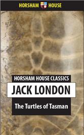 Portada de THE TURTLES OF TASMAN