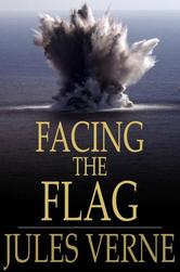 Portada de FACING THE FLAG