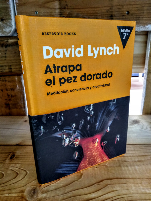 ATRAPA AL PEZ DORADO