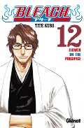 Portada de BLEACH Nº 12