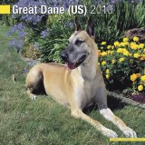 Portada de GREAT DANE US