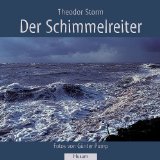 Portada de DER SCHIMMELREITER