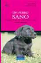 Portada de UN PERRO SANO