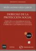 Portada de DERECHO DE LA PROTECCIÓN SOCIAL