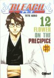 Portada de BLEACH Nº12 (CATALA)