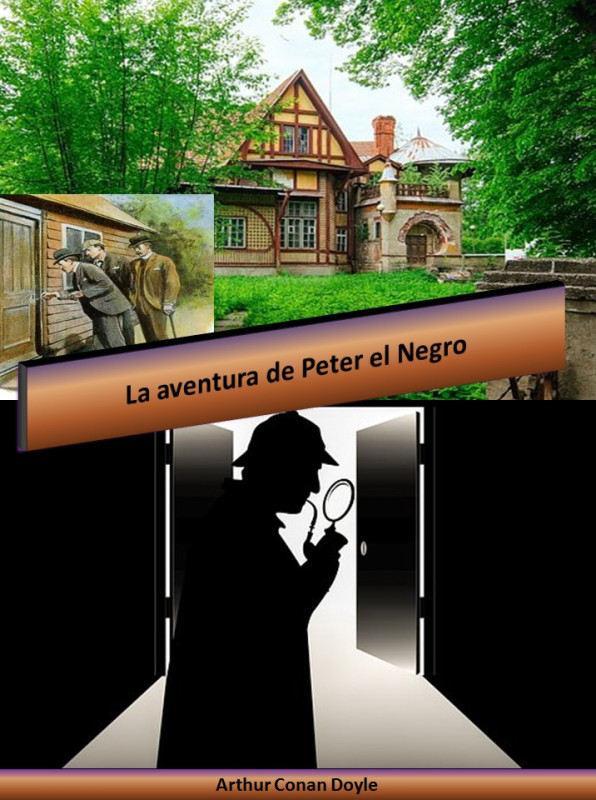 Portada de LA AVENTURA DE PETER EL NEGRO