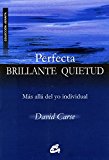 Portada de PERFECTA BRILLANTE QUIETUD: MÁS ALLÁ DEL YO INDIVIDUAL (ADVAITA)