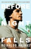 Portada de BEFORE NIGHT FALLS