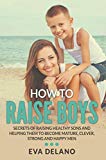 Portada de HOW TO RAISE BOYS: SECRETS OF RAISING HEALTHY SONS AND HELPING THEM TO BECOME MATURE, CLEVER, STRONG AND HAPPY MEN (ENGLISH EDITION)