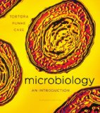 Portada de MICROBIOLOGY: AN INTRODUCTION