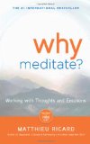 Portada de WHY MEDITATE? [WITH CD (AUDIO)]