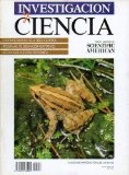 Portada de INVESTIGACIÓN Y CIENCIA. EDICIÓN ESPAÑOLA DE SCIENTIFIC AMERICAN. Nº 192. LOS ÚLTIMOS FABRICANTES DE HACHAS DE PIEDRA EN NUEVA GUINEA. FORMACIÓN DE CRISTALES MOLECULARES. PROTEÍNAS G. ALGORITMOS GENÉTICOS. ESTRATEGIAS REPRODUCTORAS DE LAS RANAS. LAS BASES DE LA TEORÍA ECONÓMICA. FILOSOFÍA CUÁNTICA...