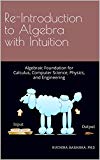 Portada de RE-INTRODUCTION TO ALGEBRA WITH INTUITION: ALGEBRAIC FOUNDATION FOR CALCULUS, COMPUTER SCIENCE, PHYSICS, AND ENGINEERING (ENGLISH EDITION)