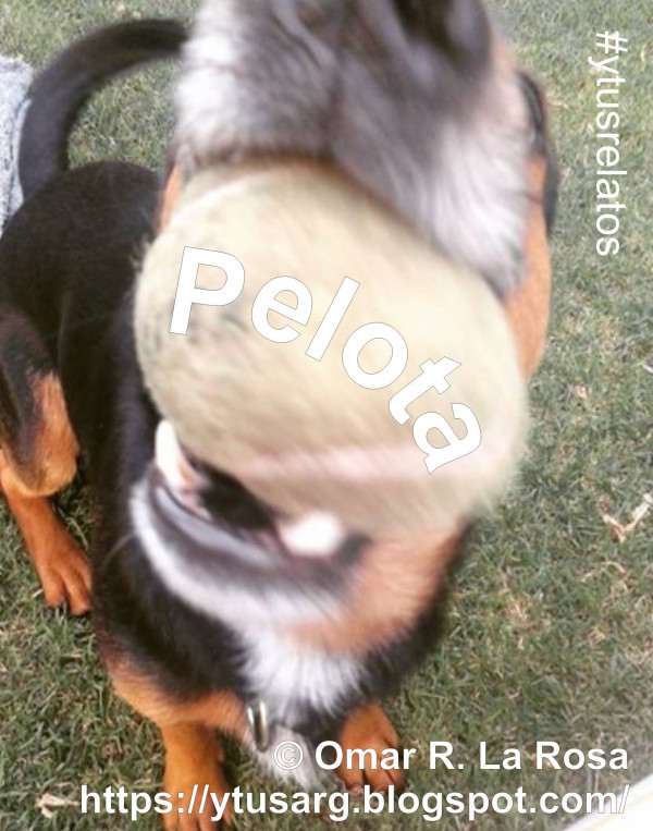 Portada de PELOTA