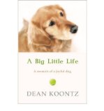 Portada de [(A BIG LITTLE LIFE)] [AUTHOR: DEAN KOONTZ] PUBLISHED ON (OCTOBER, 2009)