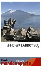 Portada de EFFICIENT DEMOCRACY