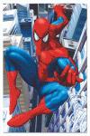 Portada de SPIDERMAN