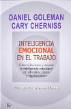 Portada de INTELIGENCIA EMOCIONAL EN EL TRABAJO: COMO SELECCIONAR Y MEROJAR LA INTELIGENCIA EMOCIONAL EN INDIVIDUOS, GRUPOS Y ORGANIZACIONES