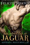 Portada de HUNTED BY A JAGUAR: ETERNAL MATES ROMANCE SERIES