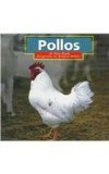 Portada de POLLOS: CHICKENS (ANIMALES DE LA GRANJA/FARM ANIMALS)