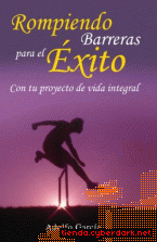 Portada de ROMPIENDO BARRERAS PARA EL EXITO - EBOOK