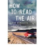 Portada de [(HOW TO READ THE AIR)] [AUTHOR: DINAW MENGESTU] PUBLISHED ON (MAY, 2012)