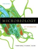 Portada de MICROBIOLOGY: AN INTRODUCTION