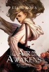 Portada de AIR AWAKENS (AIR AWAKENS SERIES BOOK 1)
