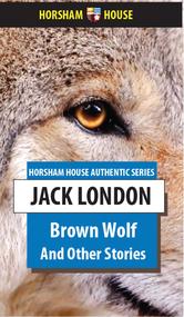 Portada de BROWN WOLF