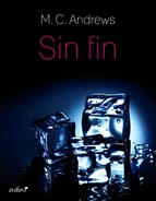 Portada de SIN FIN (EBOOK)