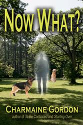 Portada de NOW WHAT?