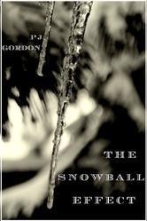 Portada de THE SNOWBALL EFFECT