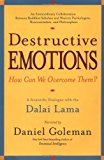 Portada de DESTRUCTIVE EMOTIONS: A SCIENTIFIC DIALOGUE WITH THE DALAI LAMA BY DANIEL GOLEMAN (2003-01-01)