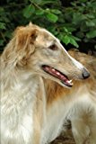 Portada de THE BORZOI DOG JOURNAL: 150 PAGE LINED NOTEBOOK/DIARY BY DOG BREEDS (2016-02-06)